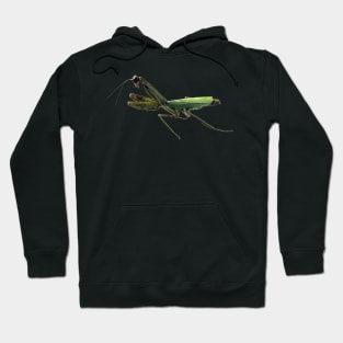 Praying Mantis Hoodie